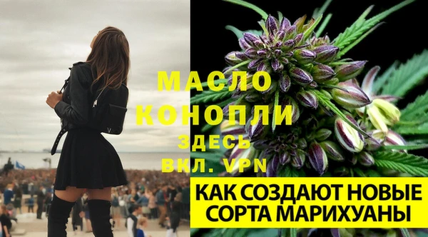 ECSTASY Покров