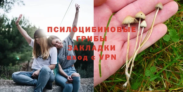 ECSTASY Покров
