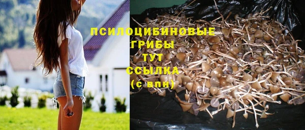 а пвп мука Покачи