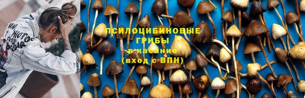 ECSTASY Покров