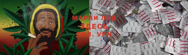 ECSTASY Покров