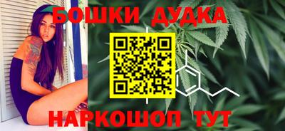 Альфа ПВП Камышлов