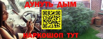 Альфа ПВП Камышлов