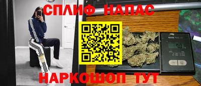 Альфа ПВП Камышлов