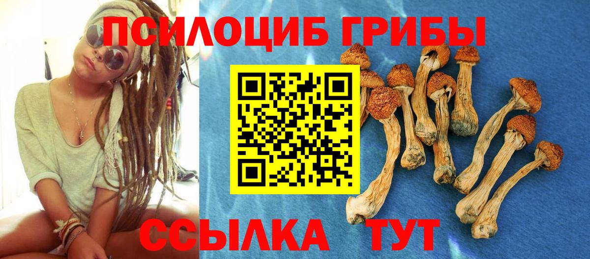 Галлюциногенные грибы MAGIC MUSHROOMS Тобольск