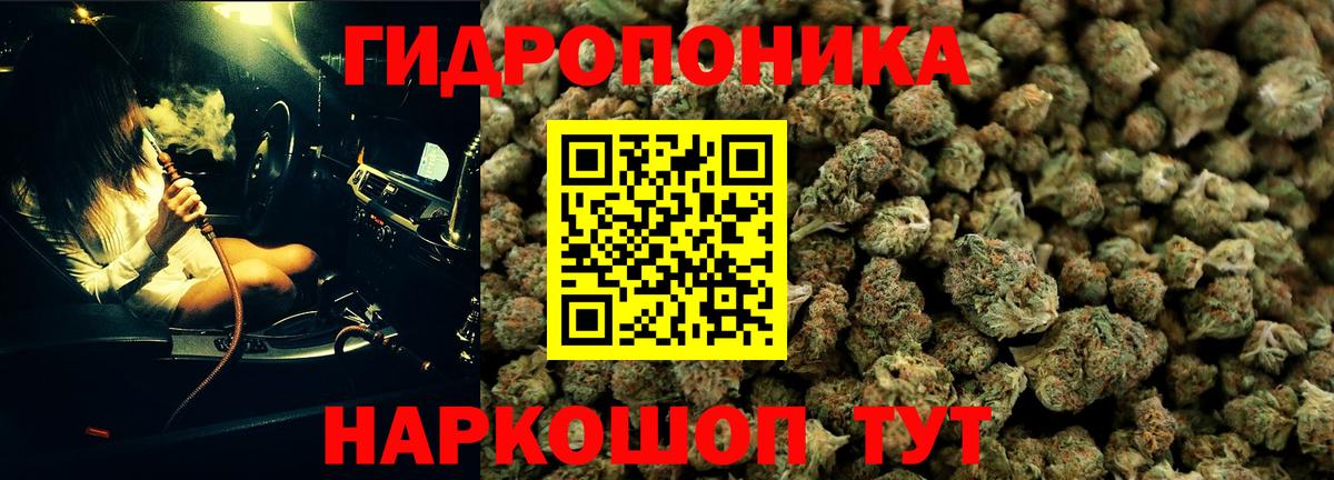 Каннабис Amnesia Тобольск